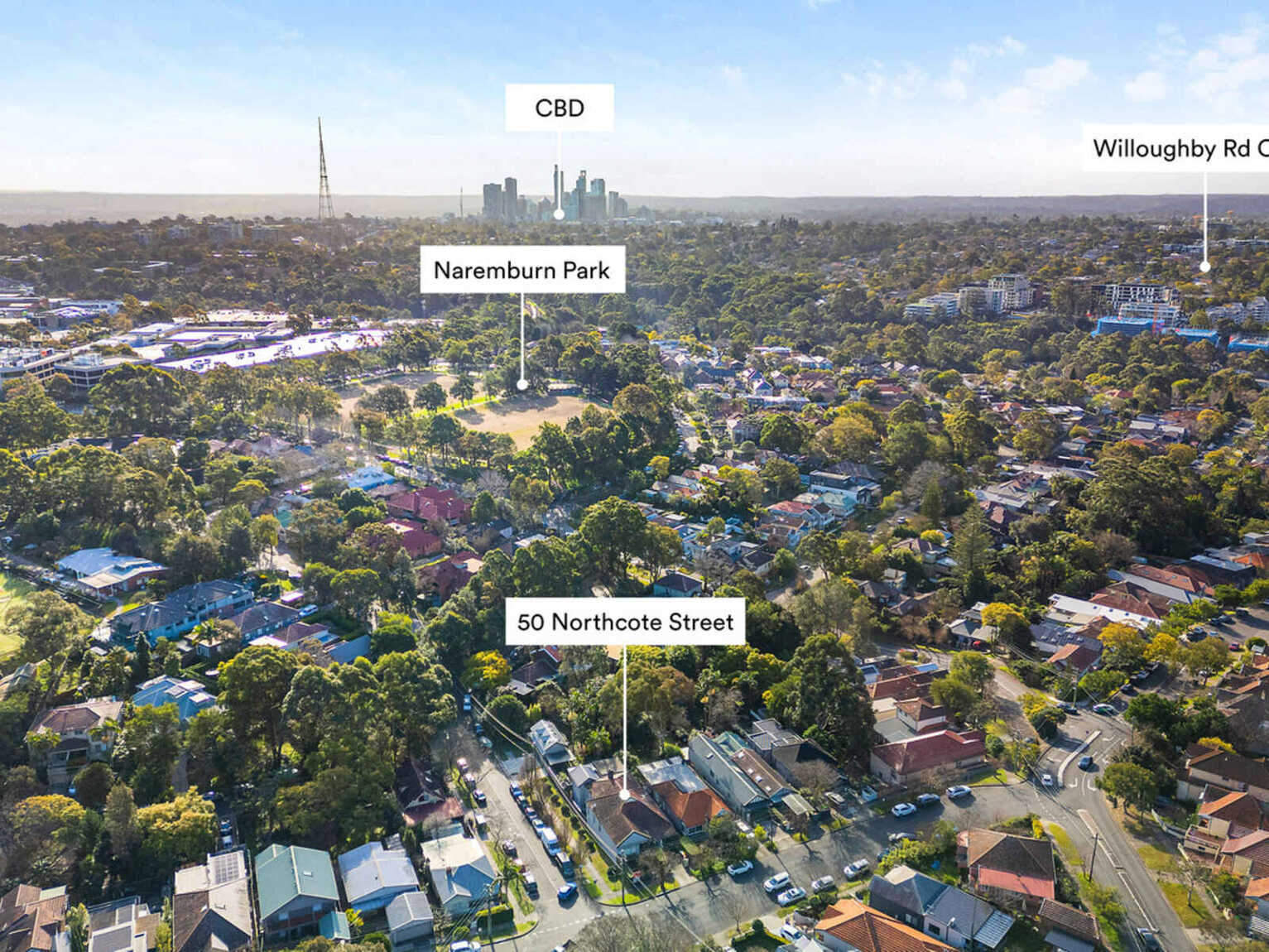 50 Northcote Street Naremburn 50 Northcote Street Naremburn