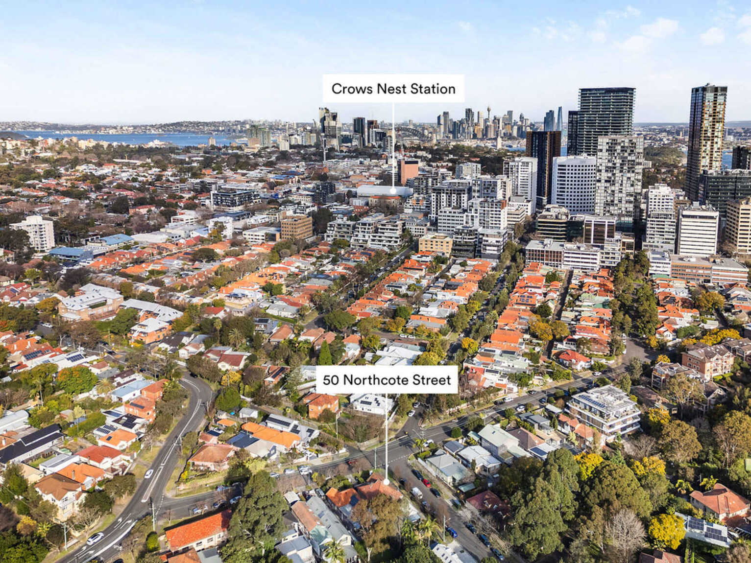 50 Northcote Street Naremburn 50 Northcote Street Naremburn